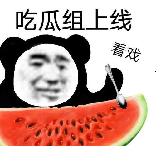 带你吃瓜奇葩烤箱,独特美食体验之旅