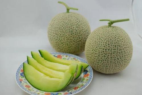 吃瓜利世,一场关于瓜果的美食盛宴