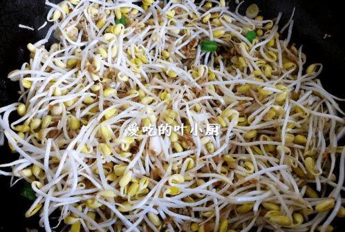 蚂蚁和豆芽吃瓜,蚂蚁与豆芽的瓜田奇遇记