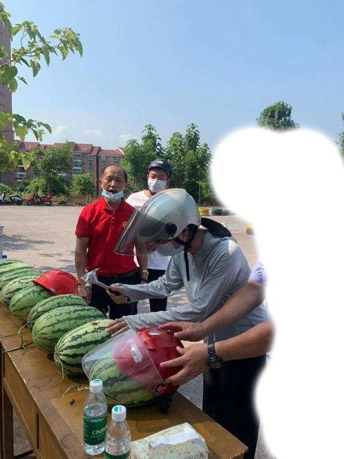 汕头最新吃瓜事件,最新“吃瓜”事件揭秘，真相背后引热议