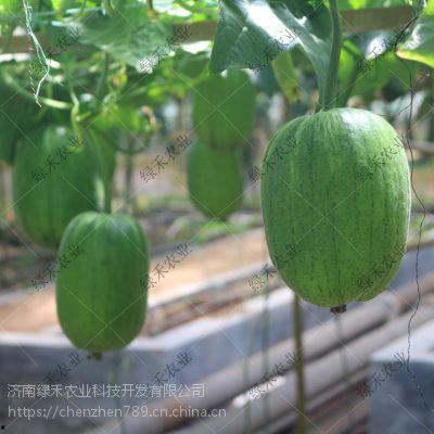 吃瓜短视频在线吃瓜,在线吃瓜，畅享娱乐时光