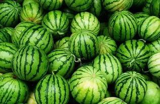 谁有吃瓜群啊,谁在吃瓜群中畅谈热点