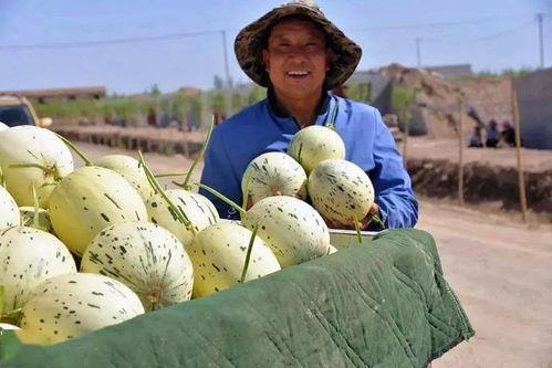 我只想当个吃瓜路人甲,我是吃瓜路人甲的日常