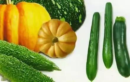 山里娃吃瓜,一场与自然的甜蜜邂逅