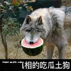 恐怖的吃瓜群,揭秘网络恐怖事件的幕后真相