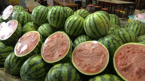 吃瓜要吃好吃的瓜,尽享美食盛宴