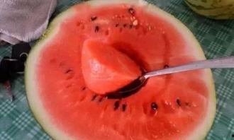 中国吃瓜vs印度吃瓜,中国吃瓜与印度吃瓜的趣味碰撞