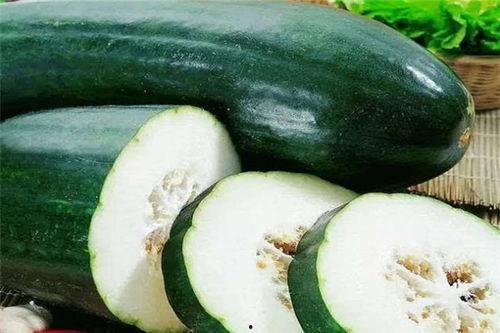 吃瓜大虫子,揭秘吃瓜大虫子的神秘世界