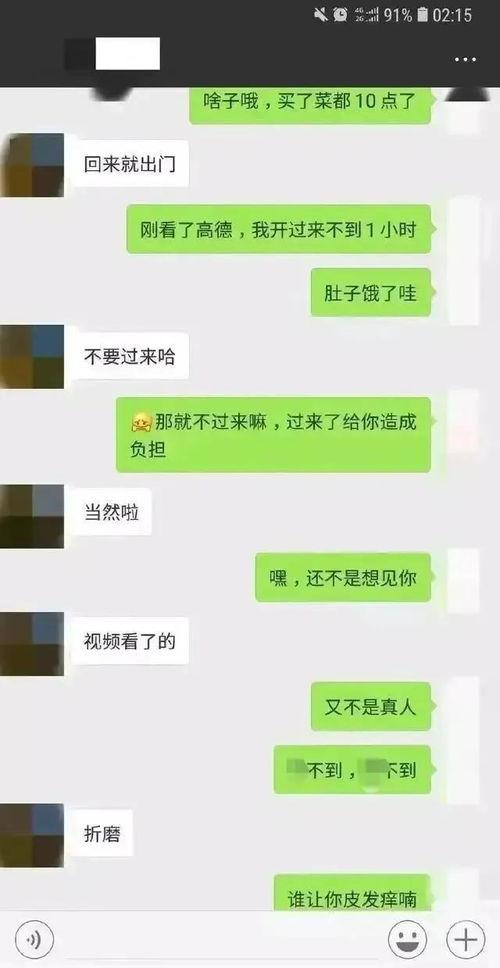 聊天记录吃瓜文案,一场吃瓜盛宴背后的真相