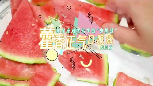 夏季吃瓜小贴士蚂蚁,蚂蚁版夏季吃瓜小贴士