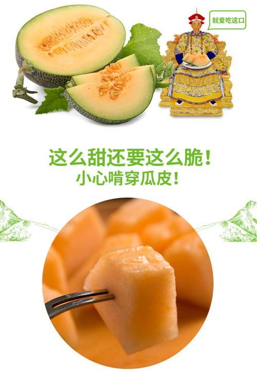 小猫吃瓜蜜瓜图片,小猫品尝蜜瓜美味瞬间