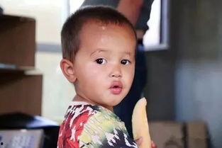 认真吃瓜2017,认真吃瓜，见证时代变迁