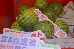 重庆公园吃瓜,街头巷尾的悠闲时光