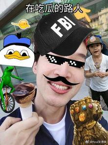 半夜吃瓜路人,路人的神秘午夜食瓜记