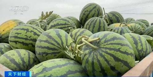 吃瓜醉钱线,揭秘娱乐圈背后的财富秘密