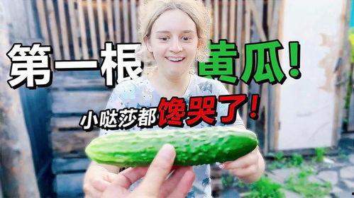 妈咪带我们吃瓜,妈咪带我们畅游瓜果世界