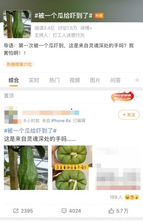 外网吃瓜网页,外网吃瓜网页背后的故事