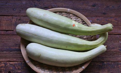 老邻居吃瓜,揭秘老邻居们的吃瓜趣事